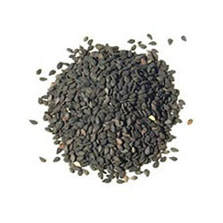 Manufacturers Exporters and Wholesale Suppliers of Sesame Seeds Pune Maharashtra